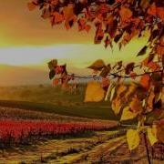 Melodic Progressive House Mix Vol 6 Autumn Colors