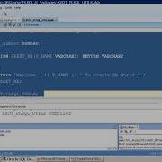 Oracle Databse PLSQL Package