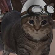 CRAZY OIIAOIIA OIIAOIIA Cat X Crazy Frog