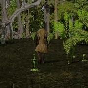 Optimisations