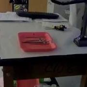 Dissection Introduction Proper Use Of Tools