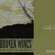 On Broken Wings More Than Life