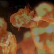 Сердце Феникса Wmv