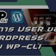 ว ธ ใช WP CLI จ ดการสร าง อ พเดท ลบ User ใน Wordpress