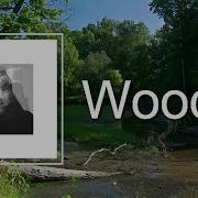 Mac Miller Woods Lyrics