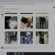 Walkthrough On How To Fetch Load And Pre Process Image Dataset For Deep Learning By Raviraj Dasari