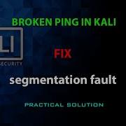KALI FIX Ping Outputs Segmentation Fault