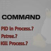 Kill Command In Linux In Hindi What Is PID Pstree