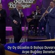 OY OY GÜZELİM BAHÇA DUVARINDAN AŞTIM ARPA BUĞDAY DANELER