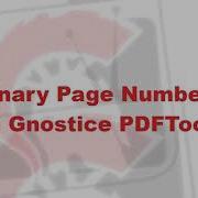 Binary Page Numbers Added To A PDF Delphi 153