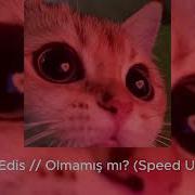 Edis Olmamış Mı Speed Up