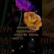 ЖУМА МУБОРАК JUMA MUBORAK SHORTS BETA
