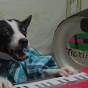 Keyboard Dog 96tears