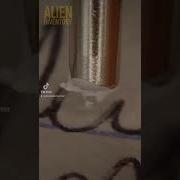 Corrector Closeup Asmr Asmrsounds Macro Macrovideo Closeup Satisfying Zoom Macrophotography