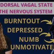 Depression In The Nervous System The Dorsal Vagal Shutdown Response Aka Hypoarousal