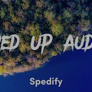 TRILLIUM HARDTEKK Sped Up Audio