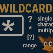 Unix Command Line Wildcards I
