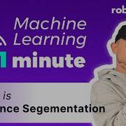 What Is Instance Segmentation ML1M