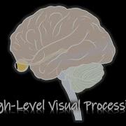 Perception High Level Visual Processing ENG KOR