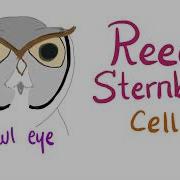 Reed Sternberg Cell Owl Eye Appearance Hodgkin S Lymphoma