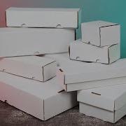 BCW Card Boxes And Bins With Wide Rows To Hold Toploaders