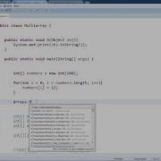 Java Programming 1 Advanced Array Concepts Part 2 2