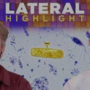 The Amazing Origin Of Rear View Mirrors