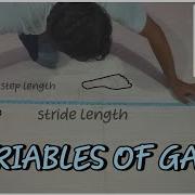 Variables Of Gait Cycle How To Measure Variables Of Gait Cycle Physio By Heart