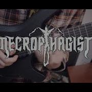 Necrophagist Seven Guitar Cover