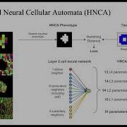 Kam Bielawski Neutral Networks In Hierarchical Neural Cellular Automata