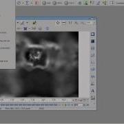 From File Series To EDF With NIS Element EDF Module