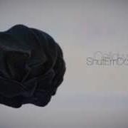 Organic Sphere