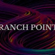 Branch Point Complex Analysis