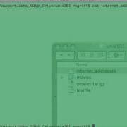 Unix 101 Commands Uniq Unique