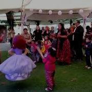 JARDIN VIVANTE PIÑATA SOFIA