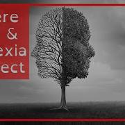 The Link Between Auditory Processing Disorder APD And Dyslexia