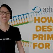 How To Design Primers For PCR