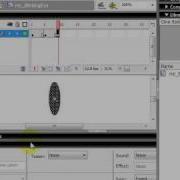 ILesson Flash Shape Tween