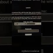 Exploring SSI Injection A Beginner S Guide To Server Side Include Hacks On HackThisSite Level 8