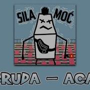 BRUDA ACAB