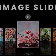 Create Animated Image Slider With Auto Play Pause Using HTML CSS And JS