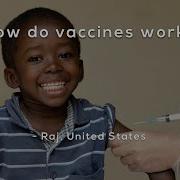 How Do Vaccines Work