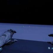 I Discovered A Huge Glitch In SnapMap