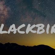 Blackbird Lyrics Paul McCartney The Beatles