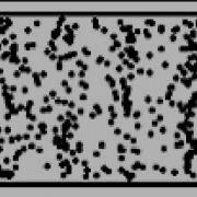 Longitudinal Wave Animation Animation