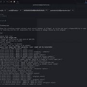 Mastering Fresh SQL Injection TOPhatSec CTF Walkthrough Penetration Testing Guide