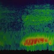 3D Spectrograms From Humpback Whale Calls