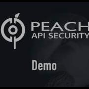 Peach API Security