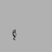 Dancing Frog Flipnote Studio