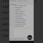 Heart Design Using Python Turtle Graphics Shorts Python Pythoncoding Programming Short